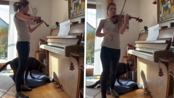 Violiste weet een gevoelige snaar te raken bij haar trouwe viervoeter