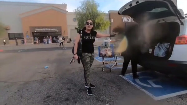 De Cart Narcs zijn terug om nog meer luie mensen op hun plek te zetten