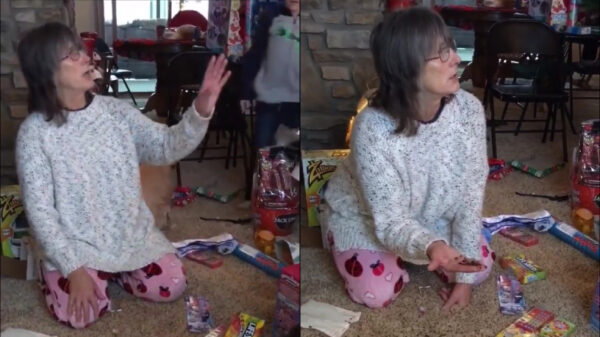 Als je geflipte schoonmoeder 1.500 lieveheersbeestjes in huis loslaat