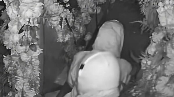 Inbrekersduo heeft seks tussen rozen na inbraak in restaurant in Arizona