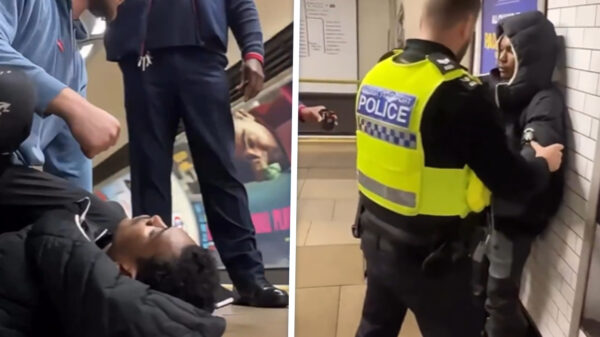 Zakkenroller met hamer valt meisje aan, professioneel vechtsporter grijpt in