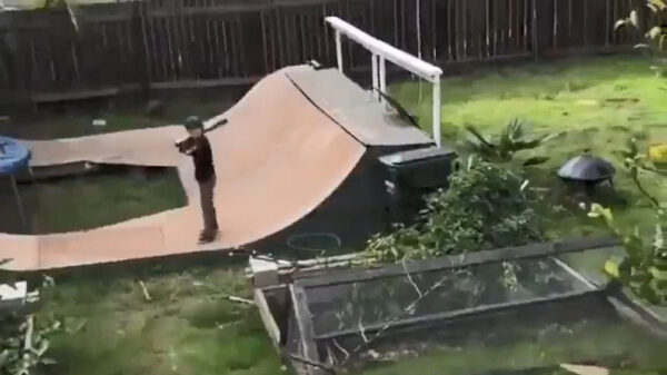 Koter heeft een verdomd krachtige slag