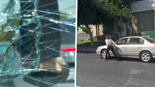 Vrouw heeft bizarre meltdown in het verkeer nadat iemand toetert