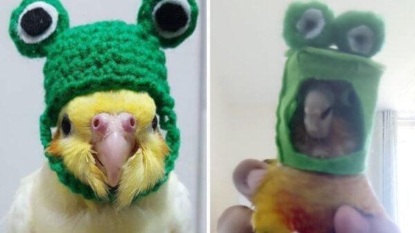 14 harde tegenvallers die je laten twijfelen aan de gehele mensheid