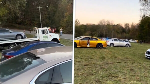 Boer neemt wraak op festivalgangers die op zijn land parkeerden