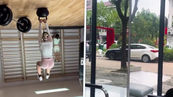 Even twee keer knipperen: deze filmpjes lopen totaal anders af dan gedacht