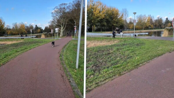 "Het avontuur van Dirk de hond en de drie kleine mocro's"