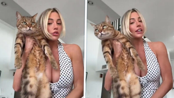 Kan iemand ons vertellen welke kleur de hond van Jadelyn heeft?