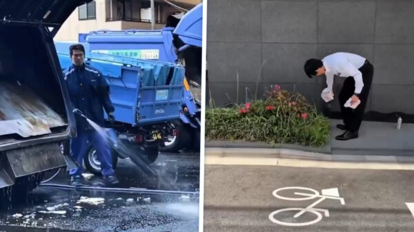 Het bewijs dat sommigen genoeg kunnen leren van de Japanse cultuur
