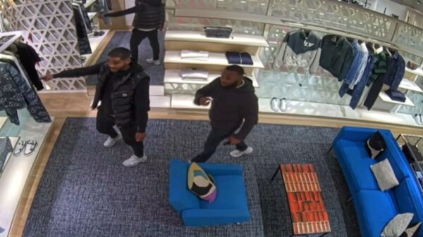 Kansenparels kopen voor €18.000 aan Louis Vuitton met gejatte pinpas