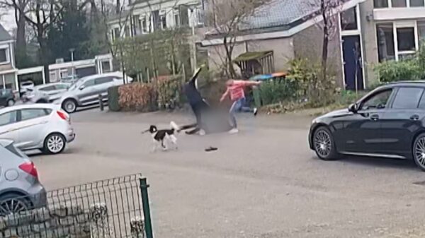 Twee mannen mishandelen hondeneigenaar in Enschede na verkeersruzie