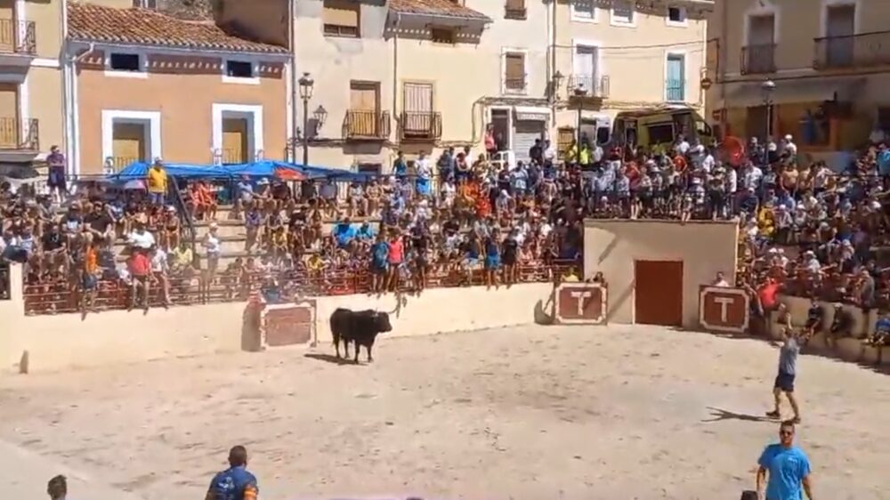 Jonge Fransman raakt gewond bij stierenrennen in de Spaanse stad Liétor