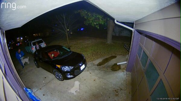 Als je hond je nét iets te enthousiast begroet