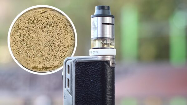 Onderzoek wijst uit: Vapes zijn 3.000(!) keer viezer dan een wc-bril