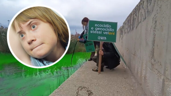 Venetië gooit activiste Greta Thunberg eruit: "Respectloze daad"