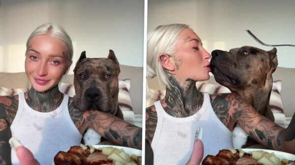 Duitse vrouw is misschien net iets té gezellig met haar hond