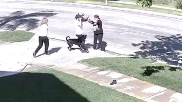 Vrouw gaat drie keer tegen de vlakte dankzij haar doorgedraaide hond