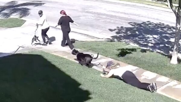 Vrouw gaat drie keer tegen de vlakte dankzij haar doorgedraaide hond