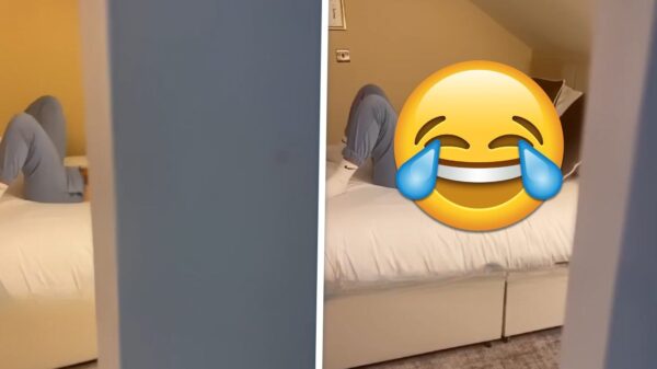 Dit gebeurt er dus als je je VR-set uitleent aan je nieuwsgierige zus