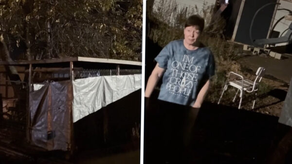 Vrouw (22) opgesloten in hondenhok door pleegmoeder, buurman grijpt in