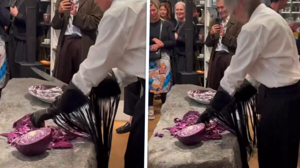 Keukenheldin verandert rodekool snijden in hoogstaande kunstperformance