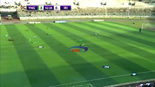 Aanvallende killer bees veroorzaken chaos in stadion tijdens voetbalwedstrijd in Tanzania