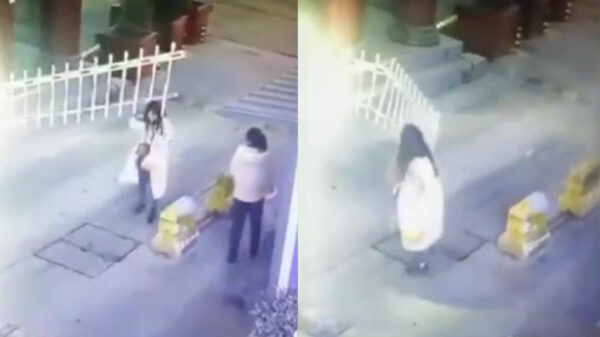 Aziatische dame besluit wraak te nemen op de slagboom die haar op haar hoofd raakte