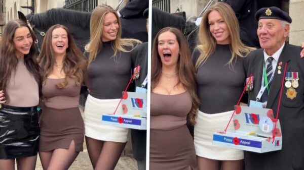 King’s Guard-momentje voor veteraan wordt bruut gekaapt door 3 vrouwen