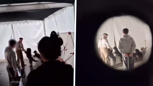 Treurige beelden: Circusartiest van Europa-Park mishandelt honden