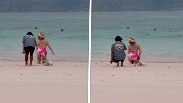 Strandmedewerker ingezet om wat bikinifoto’s te schieten voor de likes