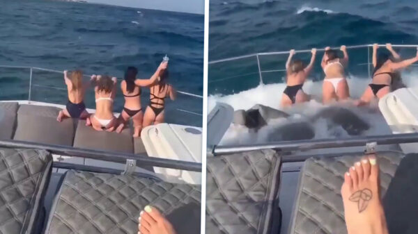 Zon, zee, bootje en een lompe golf die alle dames overal heen laat glijden