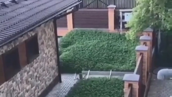 Onze Russische buurman heeft een lucratieve groene tuin laten aanleggen
