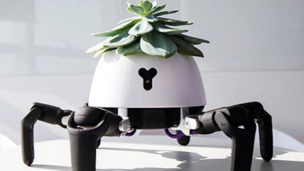 23 dingen waarvan je niet wist dat je ze wilde hebben