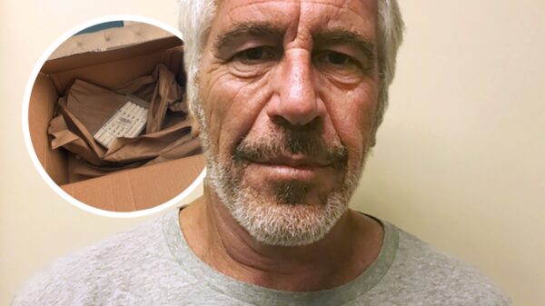 Details van Jeffrey Epstein bizarre Amazon-aankopen naar buiten gekomen