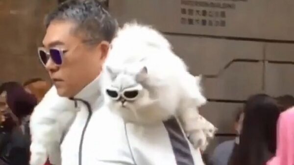 Je kijkt oh zo zuur naar me haute couture