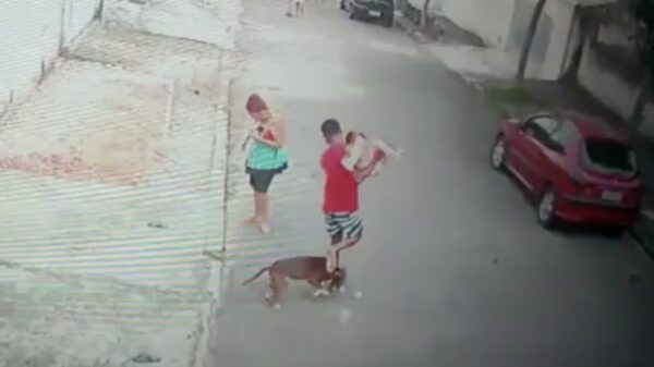 Held redt 4-jarig meisje uit de kaken van een agressieve #@#% hond