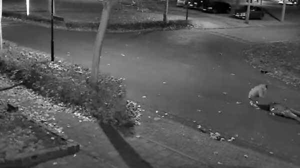 Lafbek jat telefoon en portemonnee van man die in Heesch op straat ligt