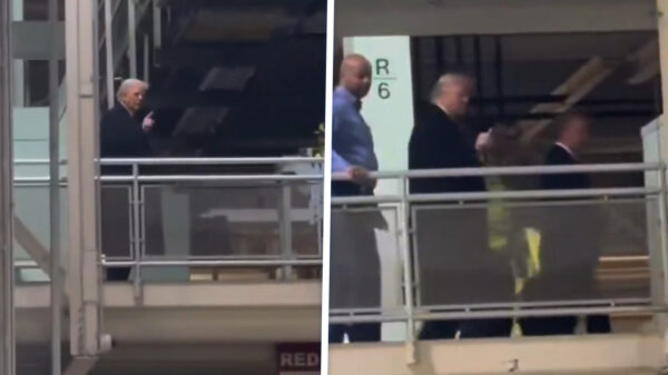 Ruim $330.000 opgehaald voor man die Trump 'pedophile protector' noemde