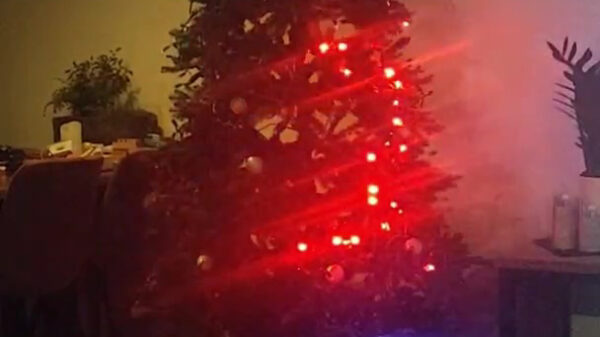 Snaken kan anno 2019 gewoon op je kerstboom