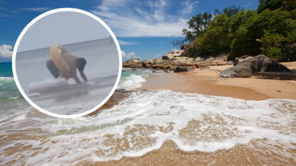 Dronken oudjes hebben flink wat moeite om uit het water te komen