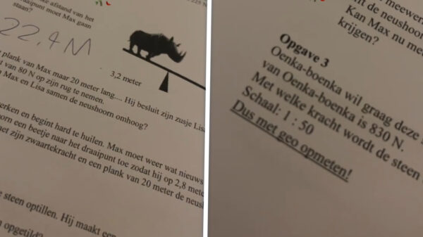 Opgave 3 van de 2e klas: 'Oenka-boenka wil graag deze steen optillen'