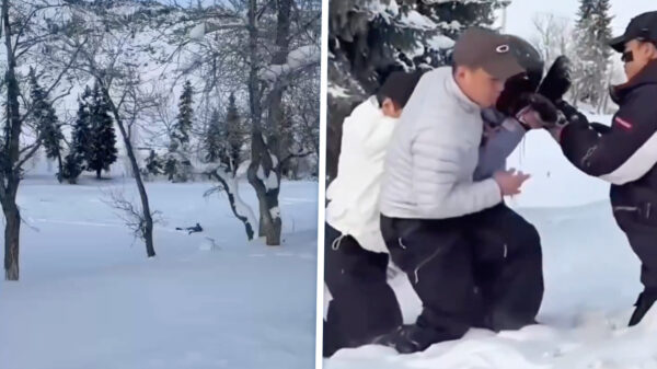 Skiester aangevallen door sneeuwluipaard tijdens selfie in Chinees skigebied