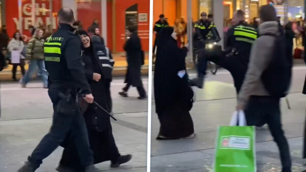 Herres in Utrecht: Agent trapt vrouw die aanhouding van vriendin filmt