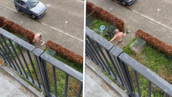 Verwarde man met mes draait door en joekelt baksteen door de ruiten