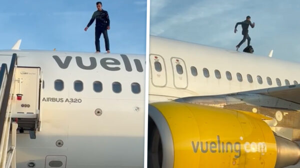 Schreeuwende gekkie trekt sprintje over dak van vliegtuig in Valencia