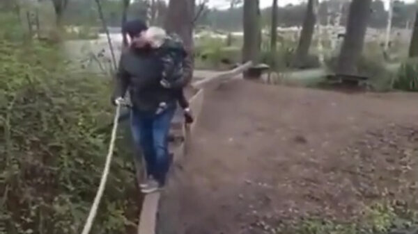 Even met papa via de balk de sloot oversteken