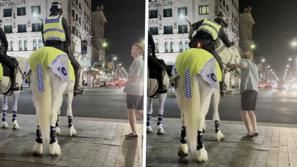 Grappenmaker krijgt flinke klap van pittige agente na misplaatste grap