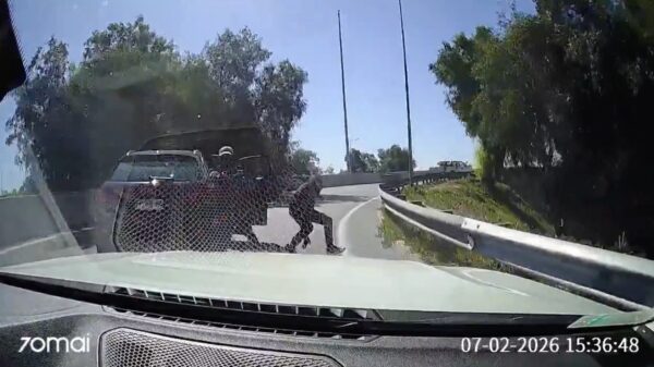 Karma in Chili: Koelbloedige vrouw pakt overvallers aan met haar bumper