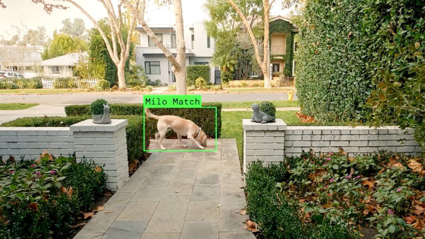 Ring gooit AI-functie 'Search Party' voor alle deurbelgebruikers open