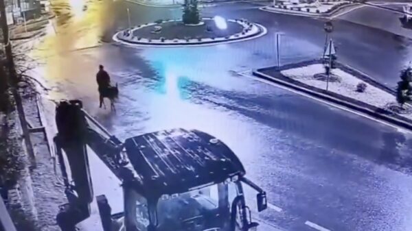 Crimineel 'genie' ramt juwelier met heftruck en vlucht op een ezel